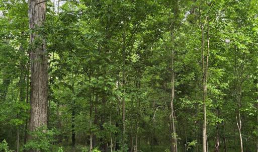 Photo #1 of White Oaks, Monroe, NC