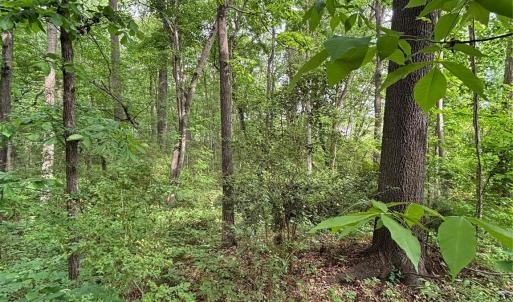 Photo #2 of White Oaks, Monroe, NC