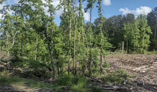 Photo #4 of 1812, 1806 Trinity Church, Monroe, NC