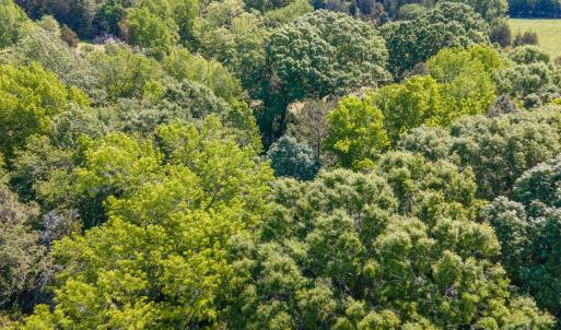 Photo #38 of 290 Glenmere, Mooresville, NC