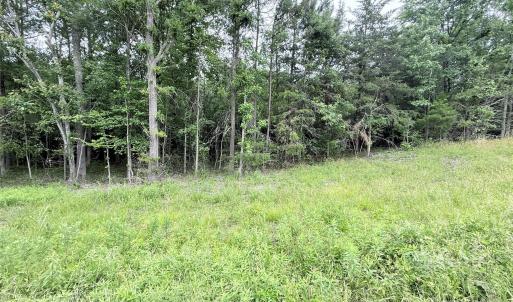 Photo #2 of 2 Acres Cimmeron, Lancaster, SC