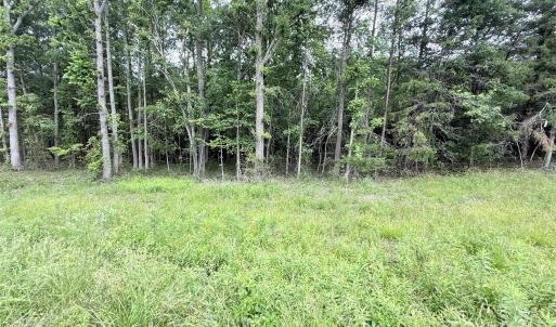 Photo #3 of 2 Acres Cimmeron, Lancaster, SC