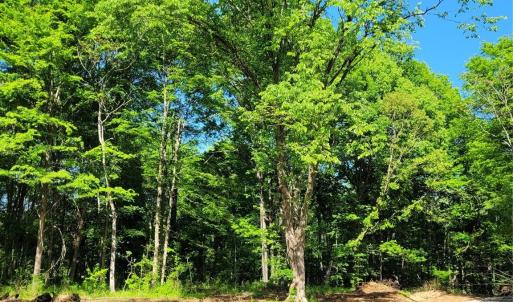 Photo #27 of John Morgan, Gold Hill, NC