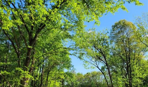 Photo #28 of John Morgan, Gold Hill, NC