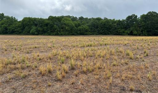 Photo #3 of Old Pageland Marshville, Marshville, NC