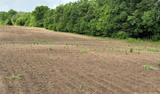 Photo #9 of Old Pageland Marshville, Marshville, NC