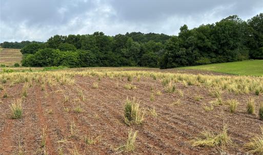 Photo #7 of Old Pageland Marshville, Marshville, NC