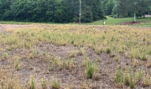 Photo #4 of Old Pageland Marshville, Marshville, NC