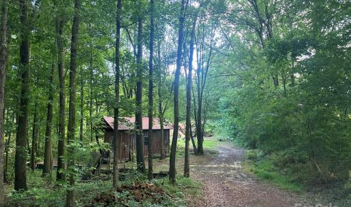 Photo #8 of 160 Pine Log, Polkton, NC
