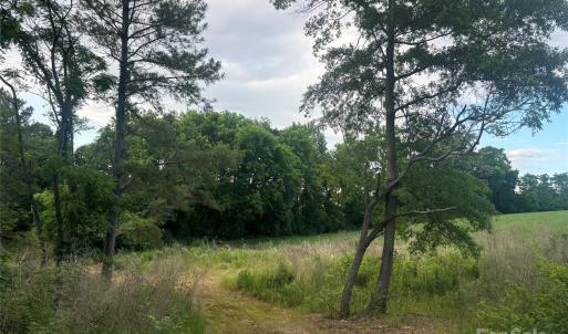 Photo #3 of 160 Pine Log, Polkton, NC