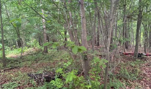 Photo #7 of 160 Pine Log, Polkton, NC