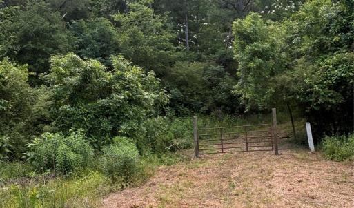 Photo #6 of 160 Pine Log, Polkton, NC
