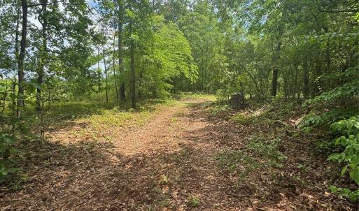 Photo #1 of 3742 Providence, Kershaw, SC