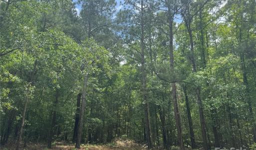 Photo #2 of 3742 Providence, Kershaw, SC