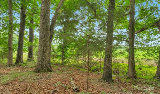 Photo #6 of Lucy Short Cut, Marshville, NC