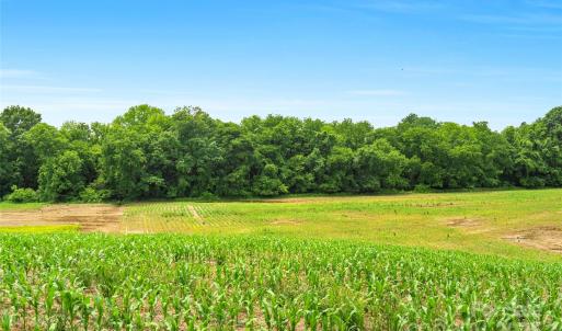 Photo #38 of Lucy Short Cut, Marshville, NC