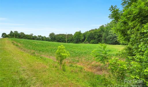 Photo #21 of Lucy Short Cut, Marshville, NC