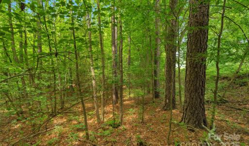 Photo #20 of Lucy Short Cut, Marshville, NC