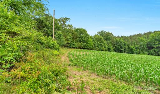 Photo #27 of Lucy Short Cut, Marshville, NC