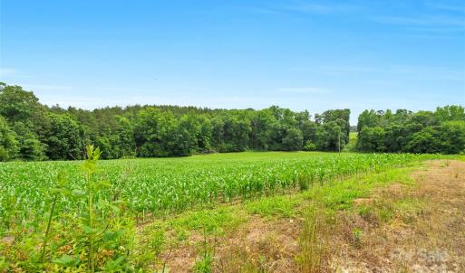 Photo #26 of Lucy Short Cut, Marshville, NC