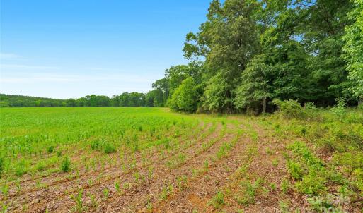 Photo #4 of Lucy Short Cut, Marshville, NC