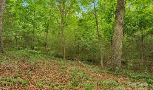 Photo #3 of Lucy Short Cut, Marshville, NC