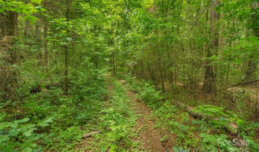 Photo #18 of Lucy Short Cut, Marshville, NC