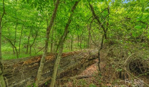 Photo #16 of Lucy Short Cut, Marshville, NC