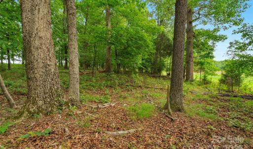 Photo #7 of Lucy Short Cut, Marshville, NC