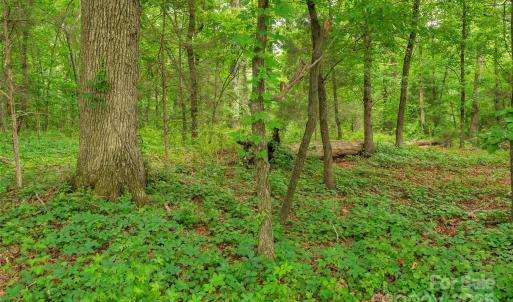 Photo #5 of Lucy Short Cut, Marshville, NC