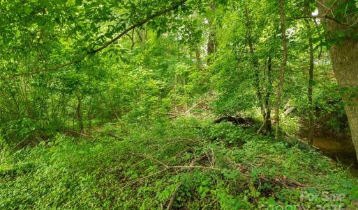 Photo #14 of Lucy Short Cut, Marshville, NC