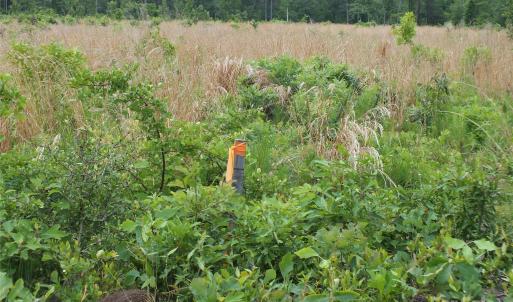 Photo #2 of Oak Ridge Church, Kershaw, SC