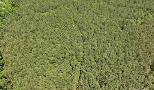 Photo #5 of 4815 NC 109, Wadesboro, NC