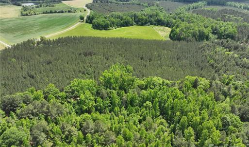 Photo #13 of 4815 NC 109, Wadesboro, NC