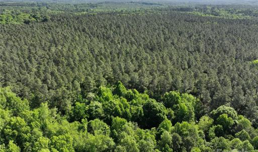 Photo #15 of 4815 NC 109, Wadesboro, NC