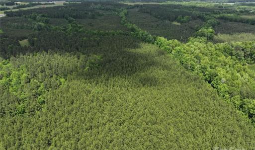 Photo #2 of 4815 NC 109, Wadesboro, NC