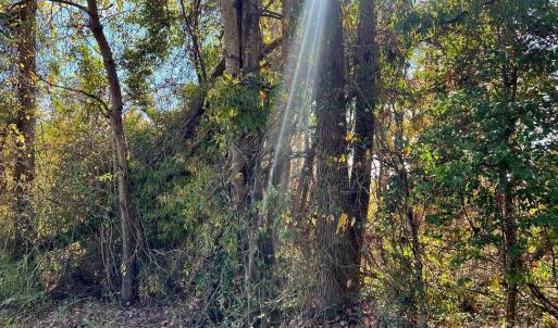 Photo #5 of 02 Old Camden, Lancaster, SC