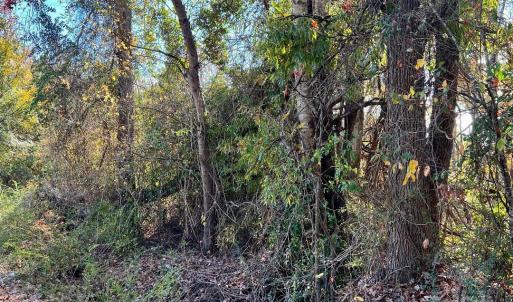 Photo #2 of 02 Old Camden, Lancaster, SC