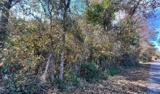 Photo #3 of 02 Old Camden, Lancaster, SC