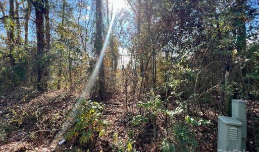 Photo #8 of 03 Old Camden, Lancaster, SC