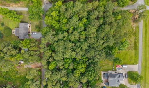 Photo #2 of Rose, Indian Trail, NC
