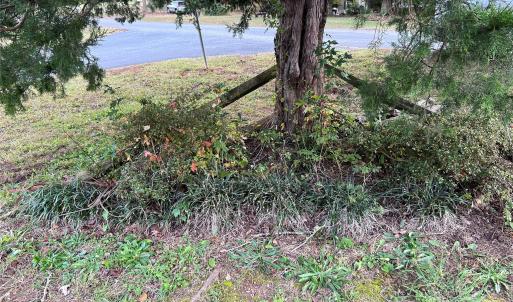 Photo #24 of 216 Fox Chase, Rock Hill, SC
