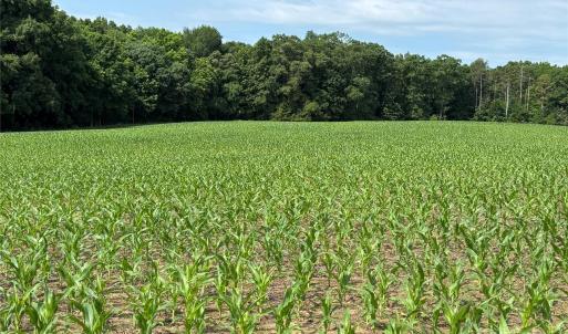 Photo #1 of Wolf Pond, Monroe, NC