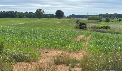 Photo #3 of Wolf Pond, Monroe, NC