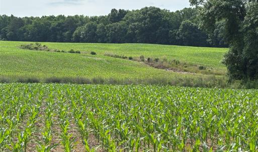 Photo #5 of Wolf Pond, Monroe, NC