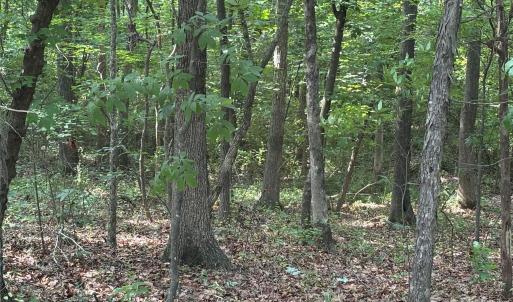 Photo #12 of Wolf Pond, Monroe, NC