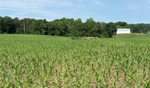 Photo #10 of Wolf Pond, Monroe, NC