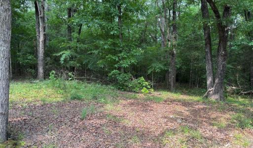 Photo #11 of Wolf Pond, Monroe, NC