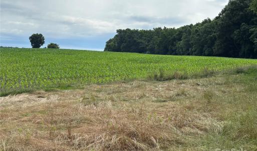 Photo #9 of Wolf Pond, Monroe, NC