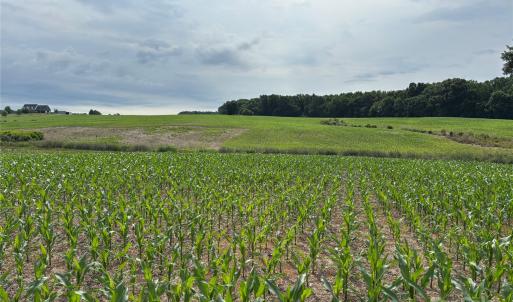 Photo #7 of Wolf Pond, Monroe, NC